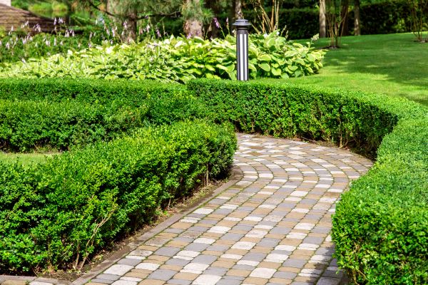 Cost of Paved Landscaping in Novato