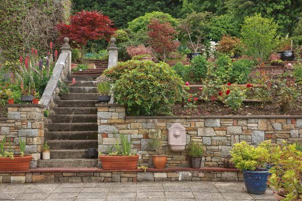 Hardscape Repair in Novato