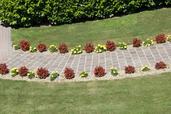 Garden Paving in Novato
