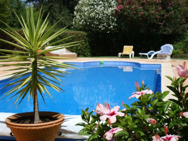 Cost of Pool Terrace Renovation in Novato