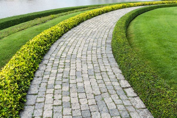 Sidewalk Pavers Installation in Novato